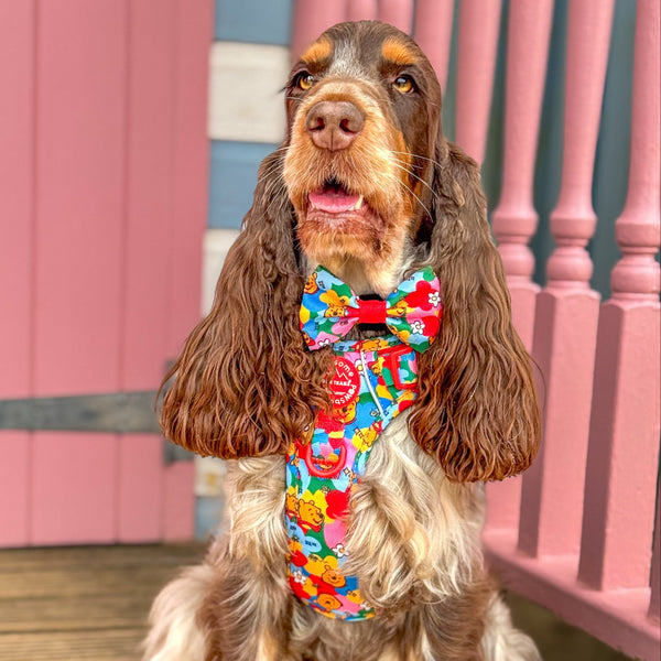 Disney© Bow Tie - Winnie Goes Retro