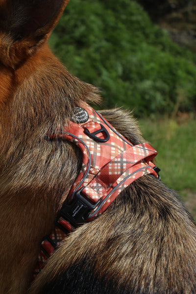 Tough Trails™ Harness - Pumpkin Plaid