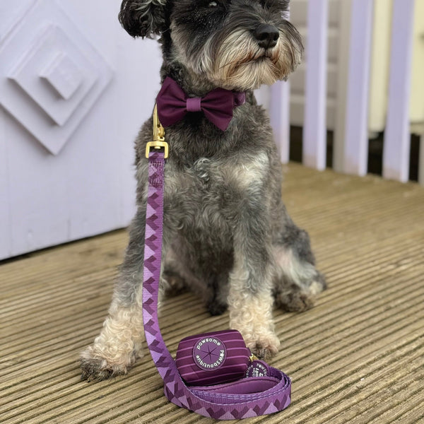 Poo Bag Holder - Walkies Ready® Plum