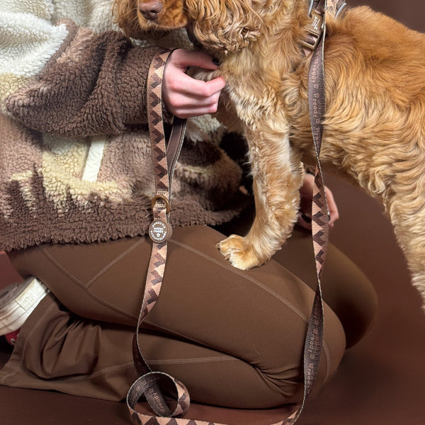 Lead - Walkies Ready® Chocolate Brown