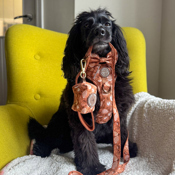 Poo Bag Holder - Cinnamon Spice