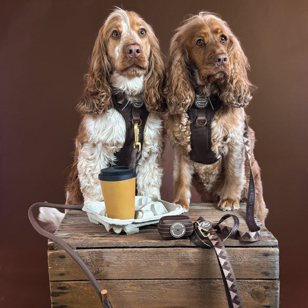 Poo Bag Holder - Walkies Ready® Chocolate Brown