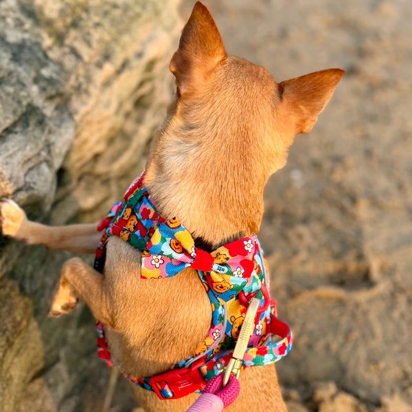 Disney© Bow Tie - Winnie Goes Retro