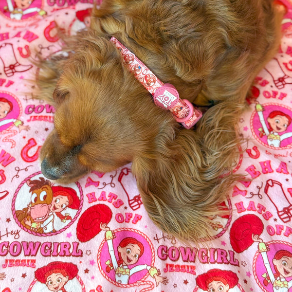 Disney© Dog Blanket - Jessie