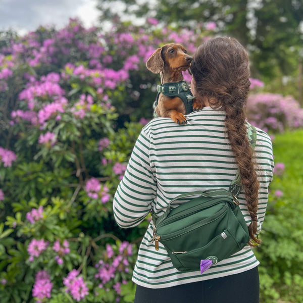 All In One Bumbag - Forest Green