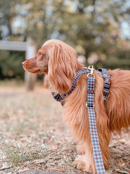 AdjustFit Lead - Horizon Houndstooth