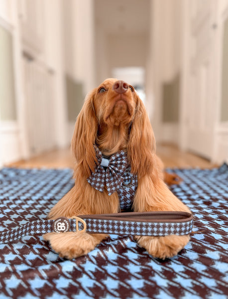 Dog Blanket - Horizon Houndstooth