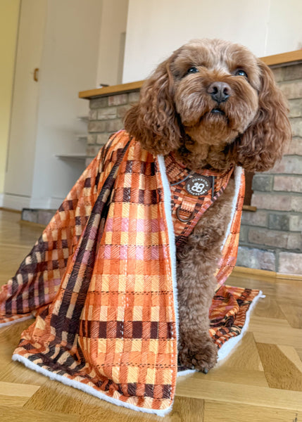 Dog Blanket - Golden Acre