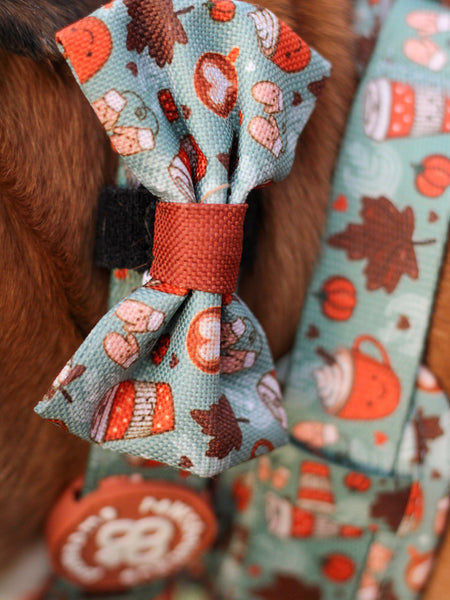 Bow Tie - Pumpkin Spice