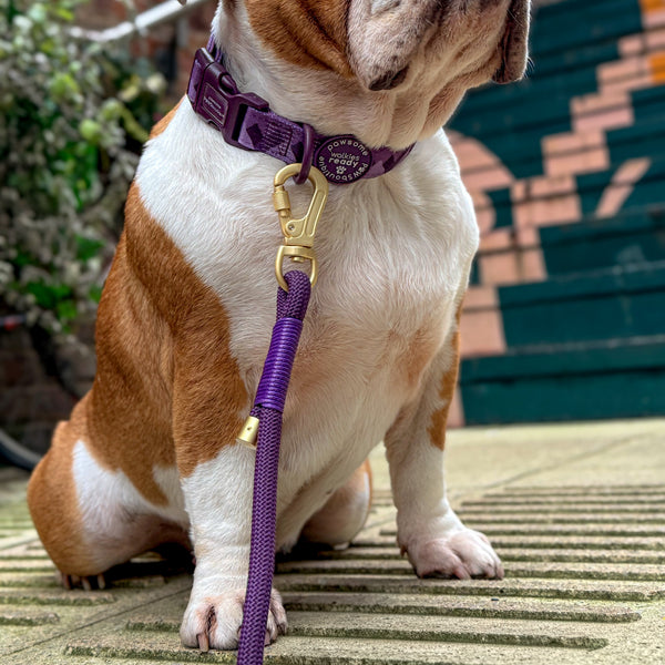 4ft Rope Lead - Walkies Ready® Plum