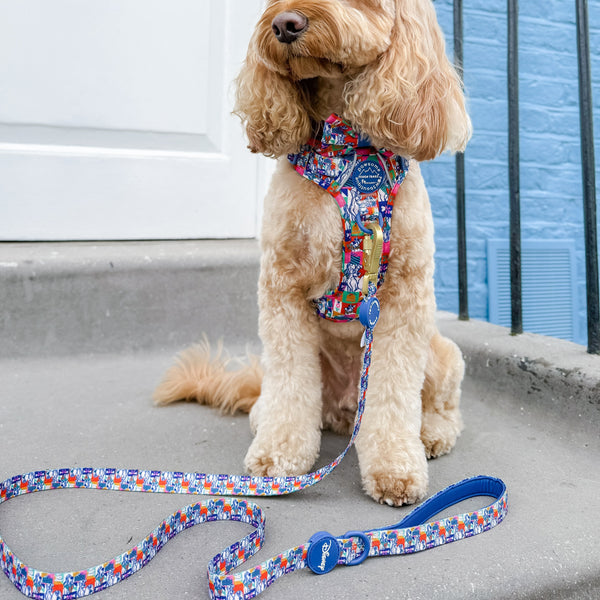 Disney© Lead - Lady + The Tramp