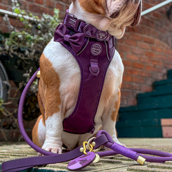 4ft Rope Lead - Walkies Ready® Plum