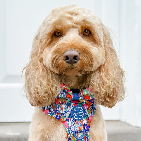 Disney© Bow Tie - Lady + The Tramp