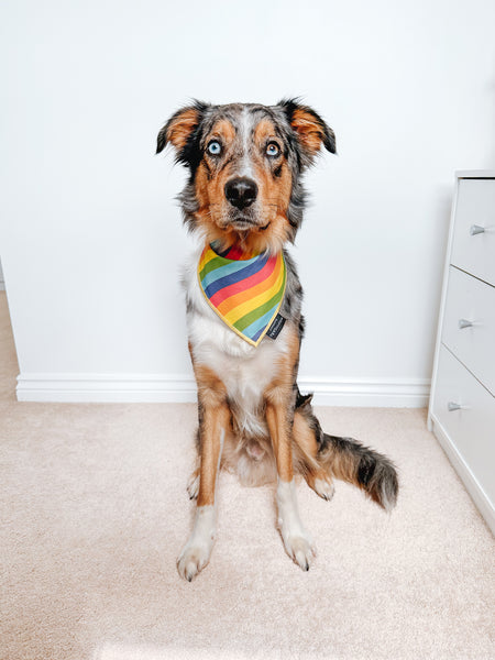 Tie On Bandana - Pride