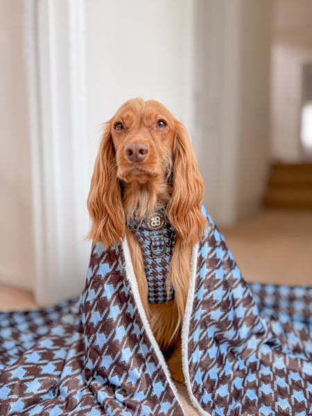Dog Blanket - Horizon Houndstooth