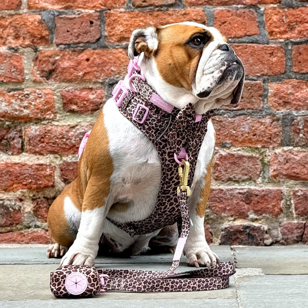 Poo Bag Holder - Leopard Print