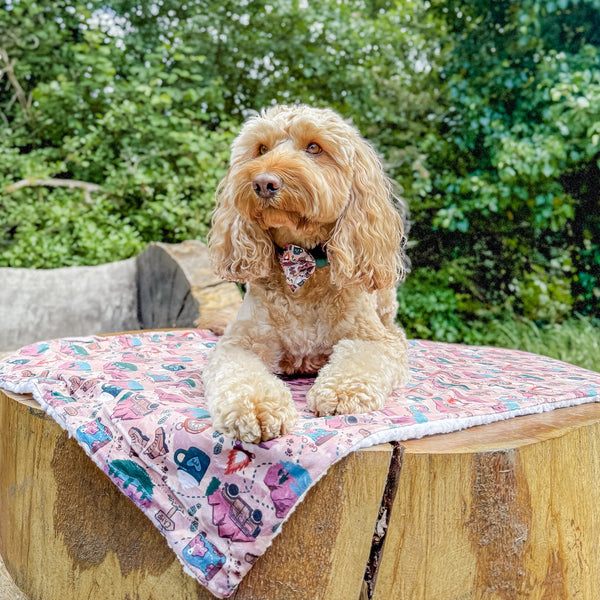 Dog Blanket - Adventure Awaits