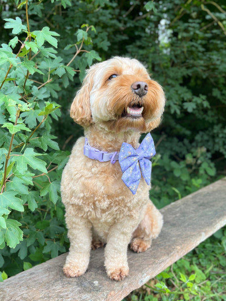 Waterproof Collar - Lilac