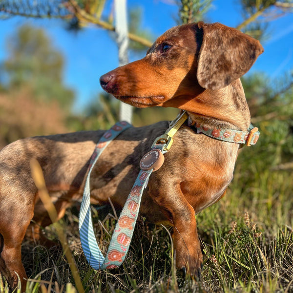 Disney© Lead - Gingerbread Bear Sage