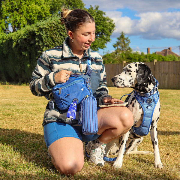 All In One Bumbag - Cornflower Blue