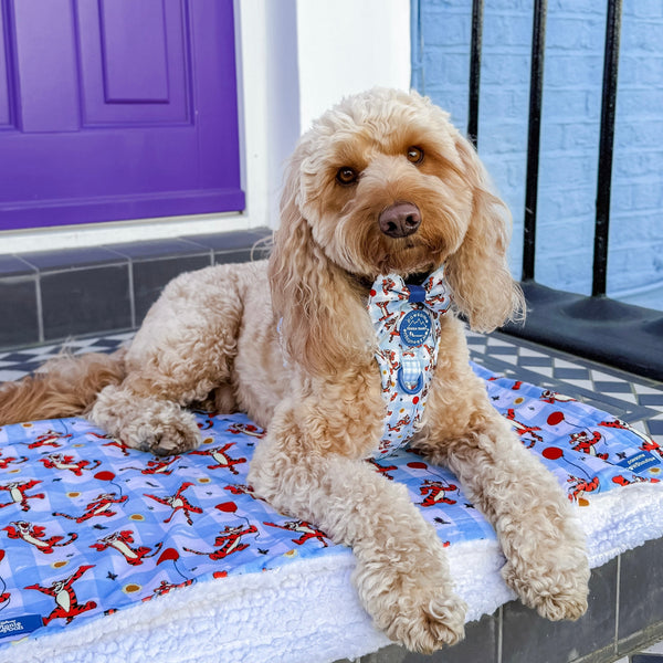 Disney© Dog Blanket - Tigger