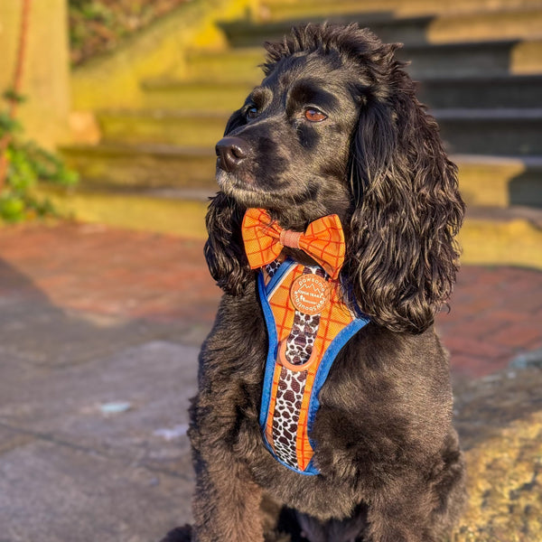 Bow Tie - Woody