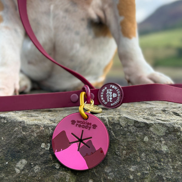 Pawsome Poop Pocket - Walkies Ready®- Mulberry