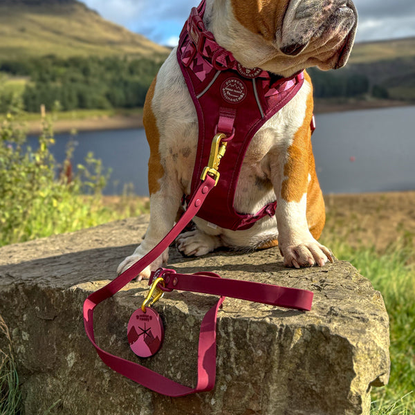 Pawsome Poop Pocket - Walkies Ready®- Mulberry