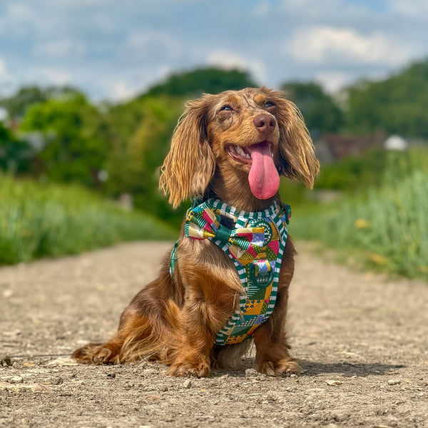 Bow Tie - Patchwork
