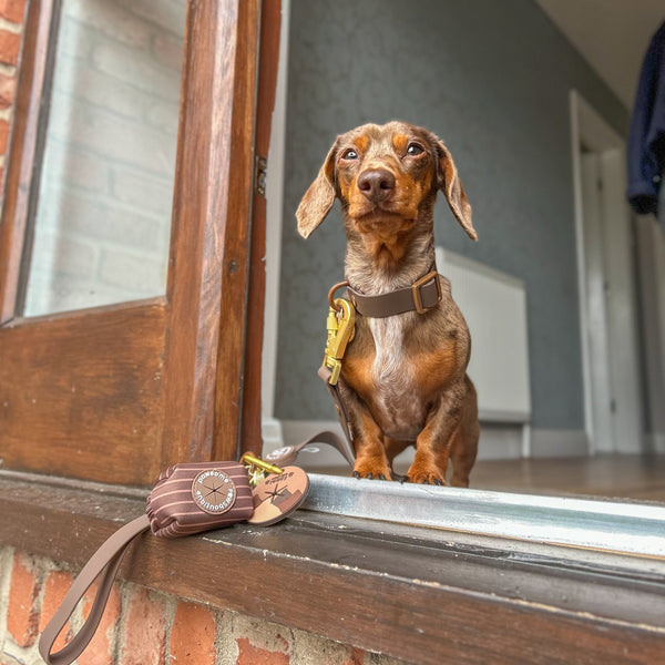 Poo Bag Holder - Walkies Ready® Chocolate Brown
