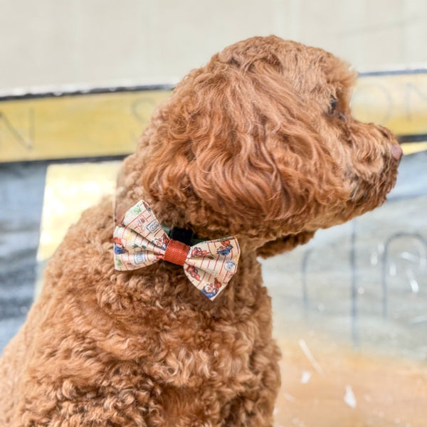 Paddington™ Bow Tie - Peckish Paddington