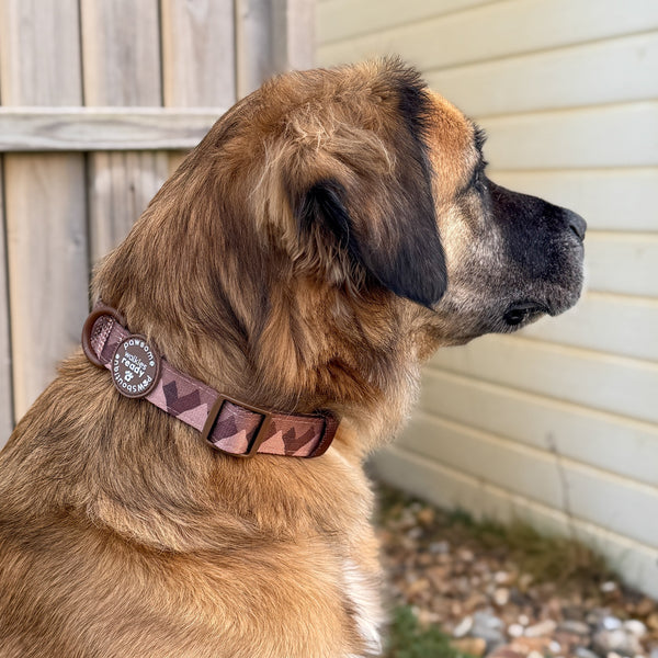 Collar – Walkies Ready® Chocolate Brown