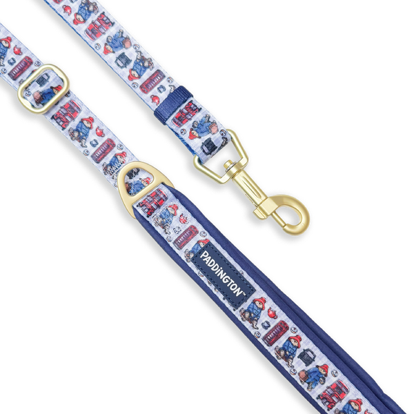 Paddington™ AdjustFit Lead - London
