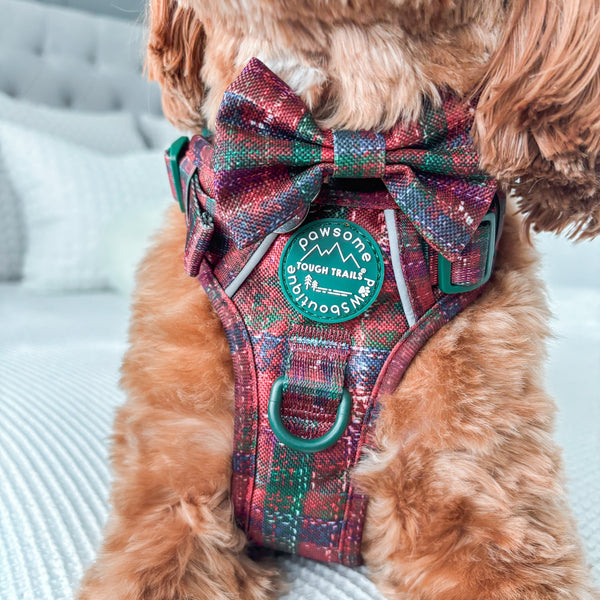 Bow Tie - Yuletide Plaid
