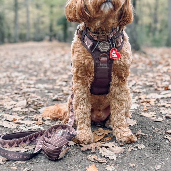 Lead - Walkies Ready® Chocolate Brown