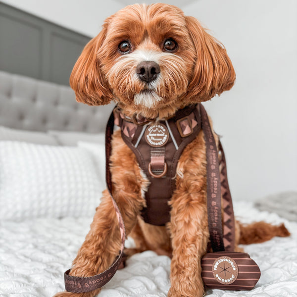 Poo Bag Holder - Walkies Ready® Chocolate Brown