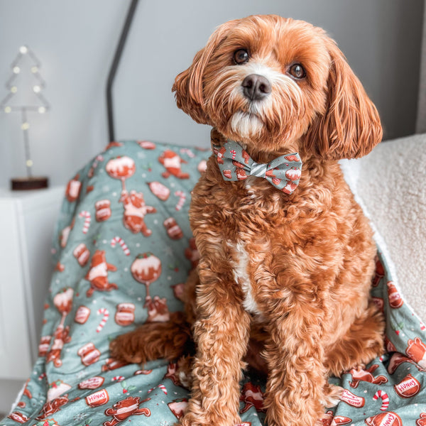 Disney© Bow Tie - Gingerbread Bear Sage