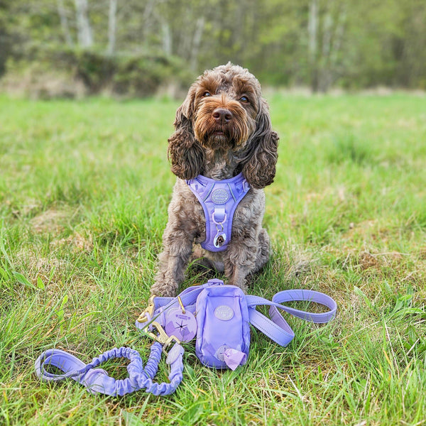 Treat + Go Bag - Walkies Ready® Lavender Lilac