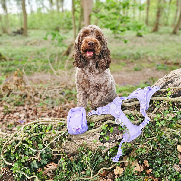 Treat + Go Bag - Walkies Ready® Lavender Lilac