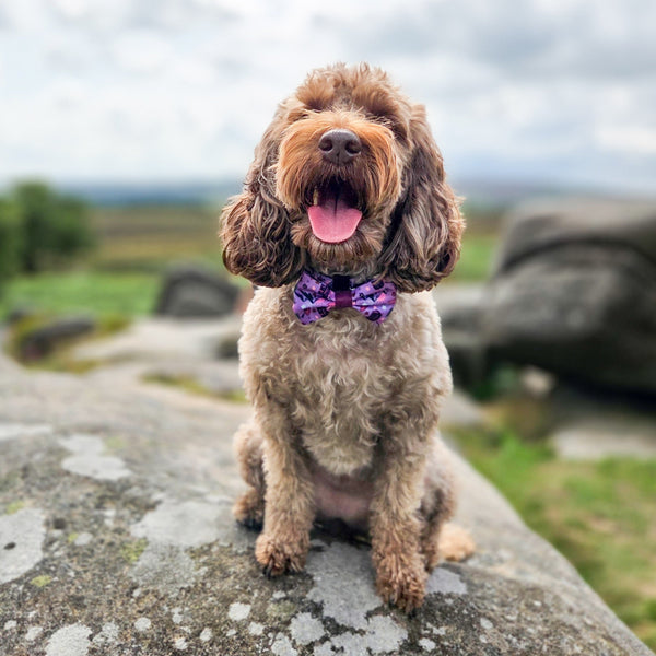 Bow Tie - Roaming Wild