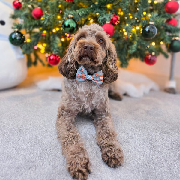 Disney© Bow Tie - Gingerbread Bear Sage