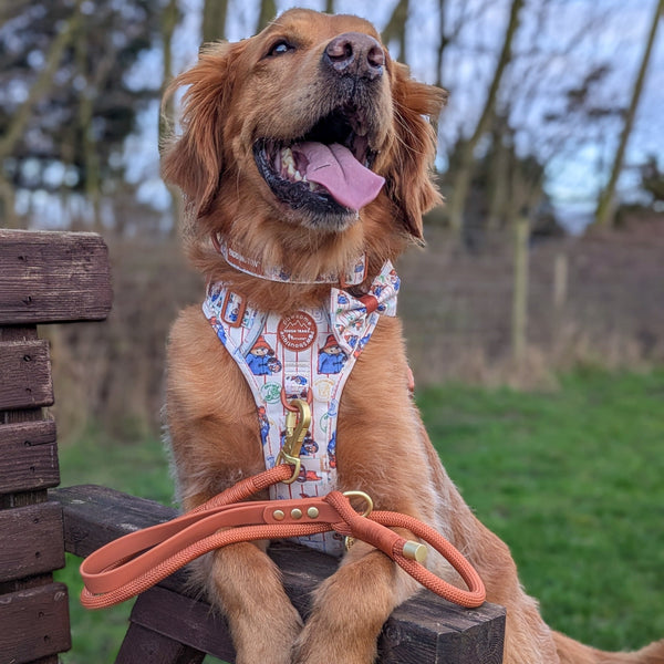 Paddington™ Bow Tie - Peckish Paddington