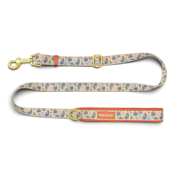 Paddington™ AdjustFit - Peckish Paddington
