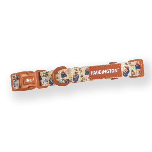 Paddington™ Collar - Peckish Paddington