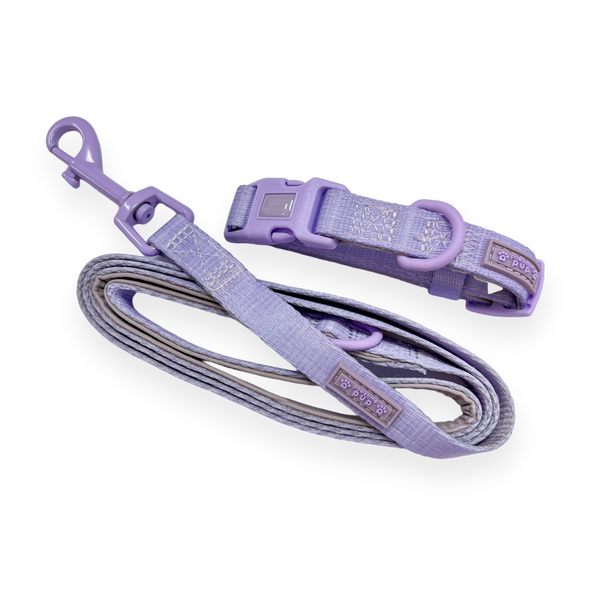 Pawsome Pup Collar and Lead Set - Lilac
