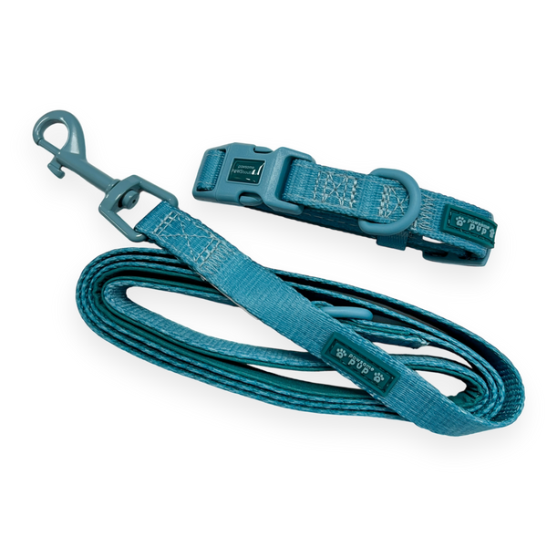 Pawsome Pup Collar and Lead Set - Teal