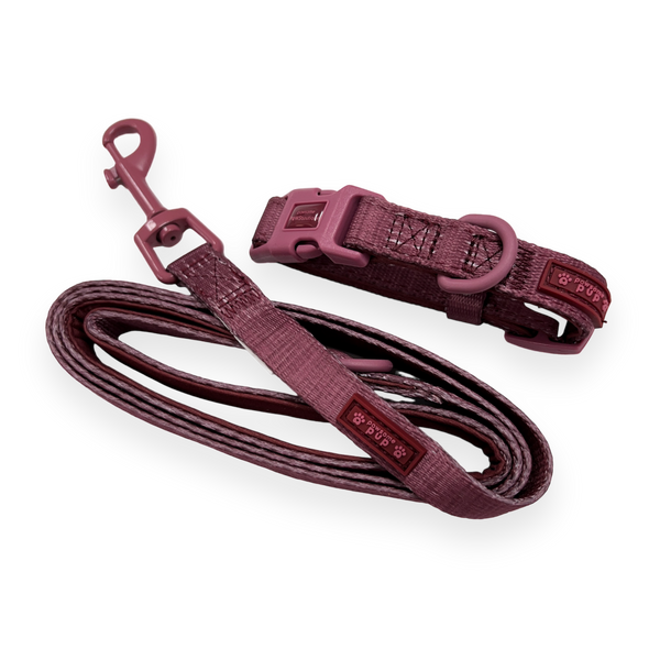 Pawsome Pup Collar and Lead Set - Burgundy