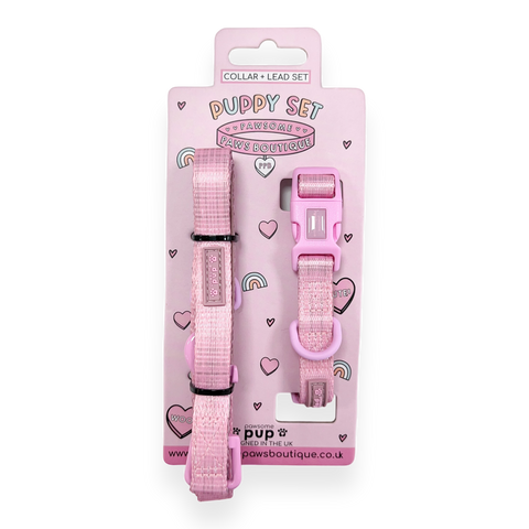 Pawsome Pup Collar and Lead Set - Pink