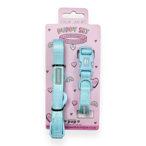 Pawsome Pup Collar and Lead Set - Mint