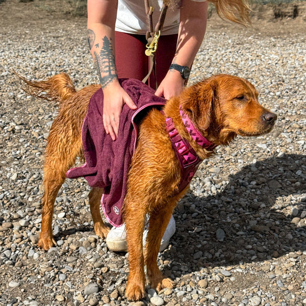 Microfibre Towel - Walkies Ready® Mulberry